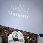 Mummy Box - Cosy Mode