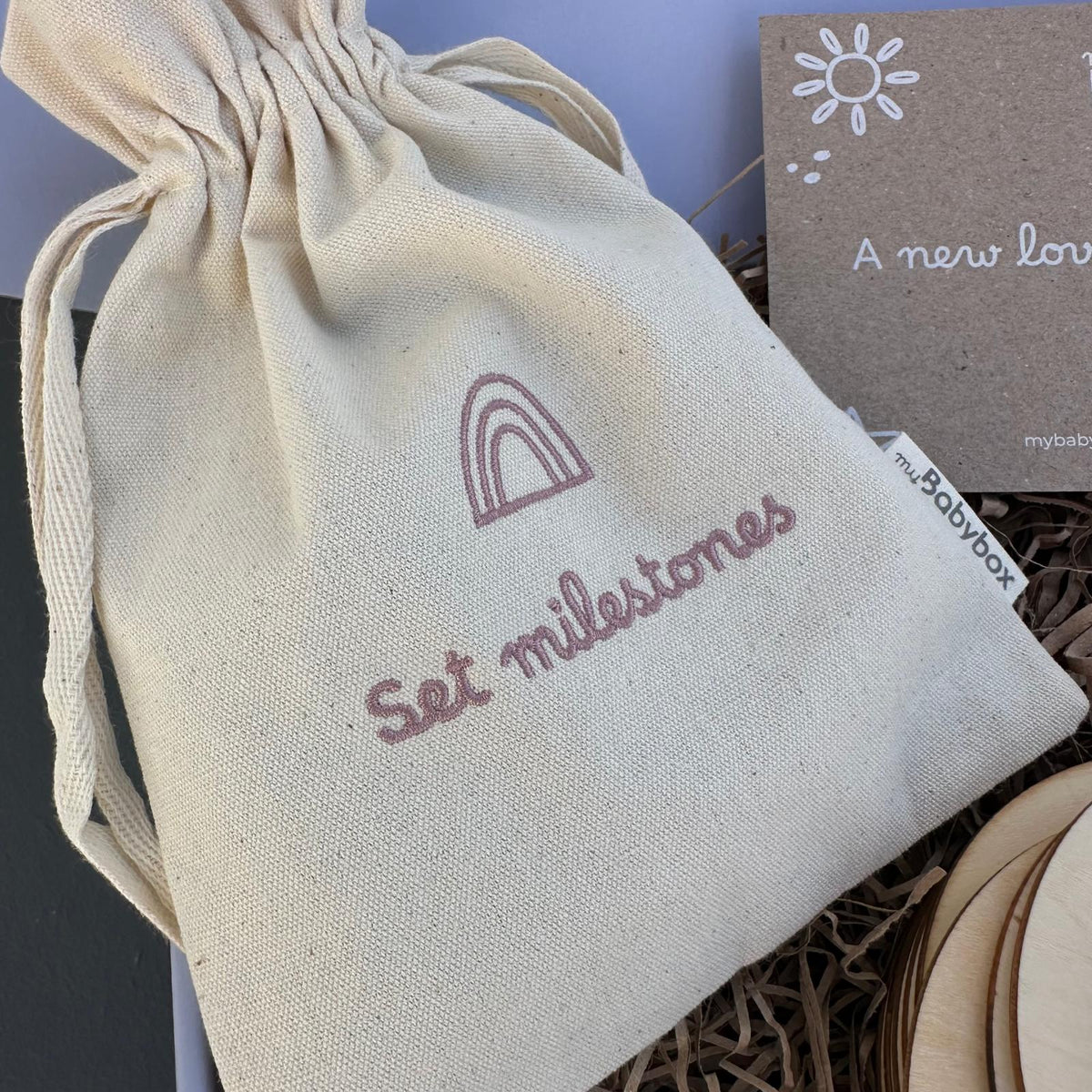 bolsa bordada para guardar os milestones