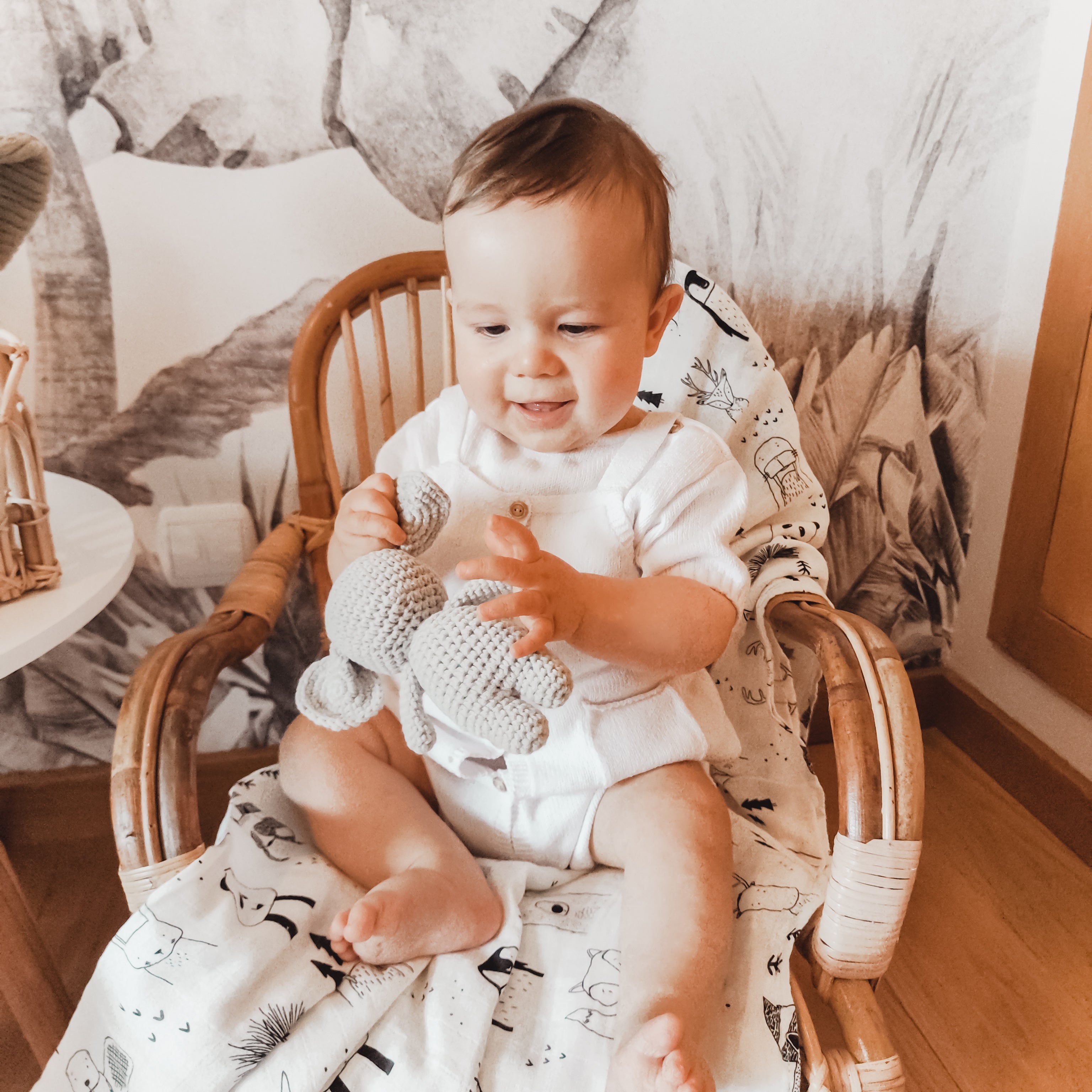 Swaddle Wild Animals