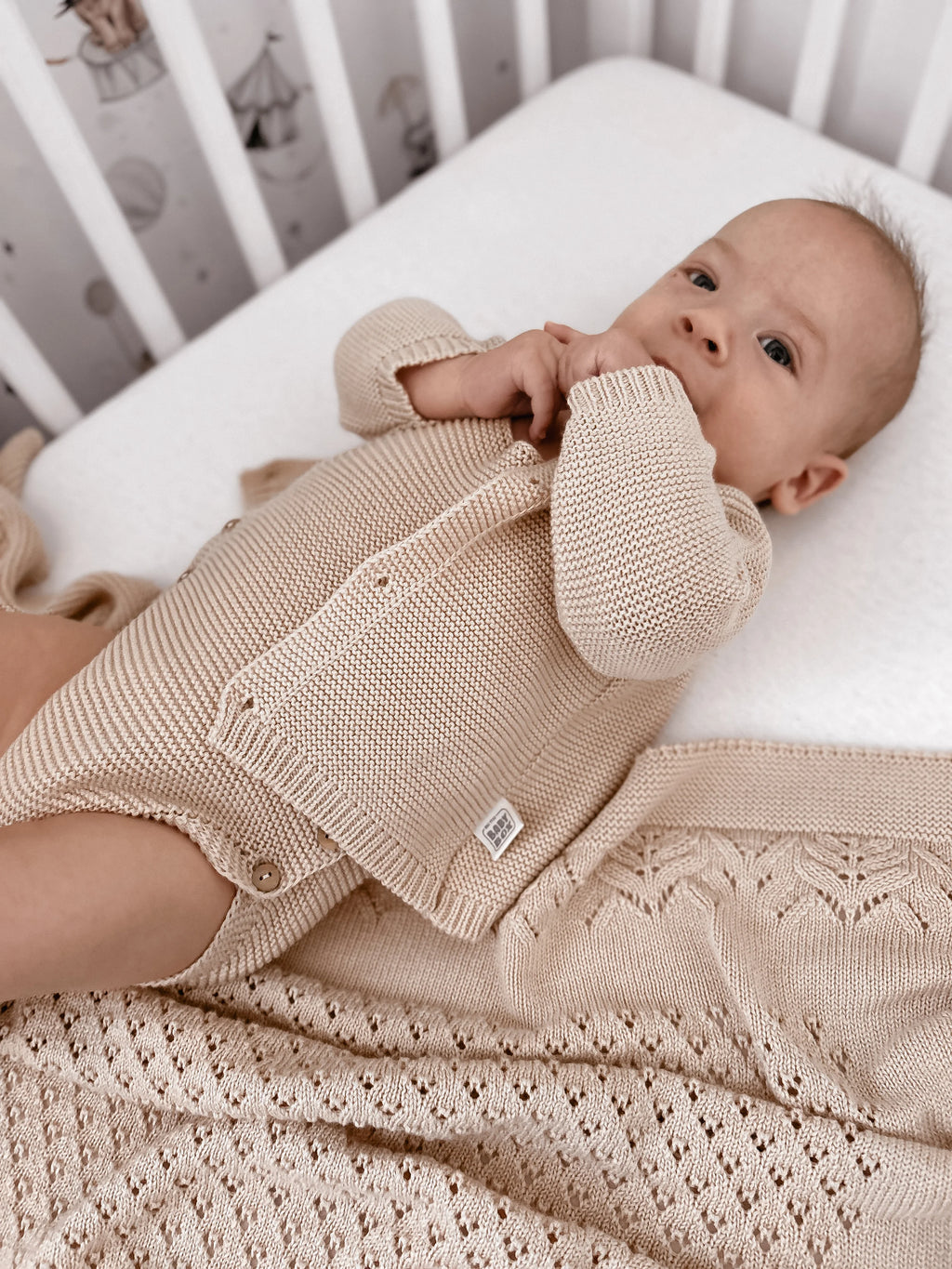 Newborn Maternity Dots