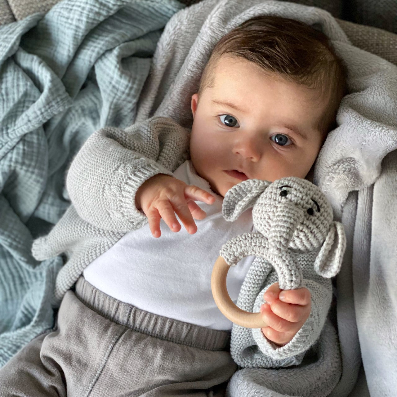 Xavier, o Elefante Roca